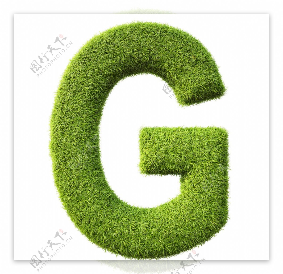 绿草字母图片