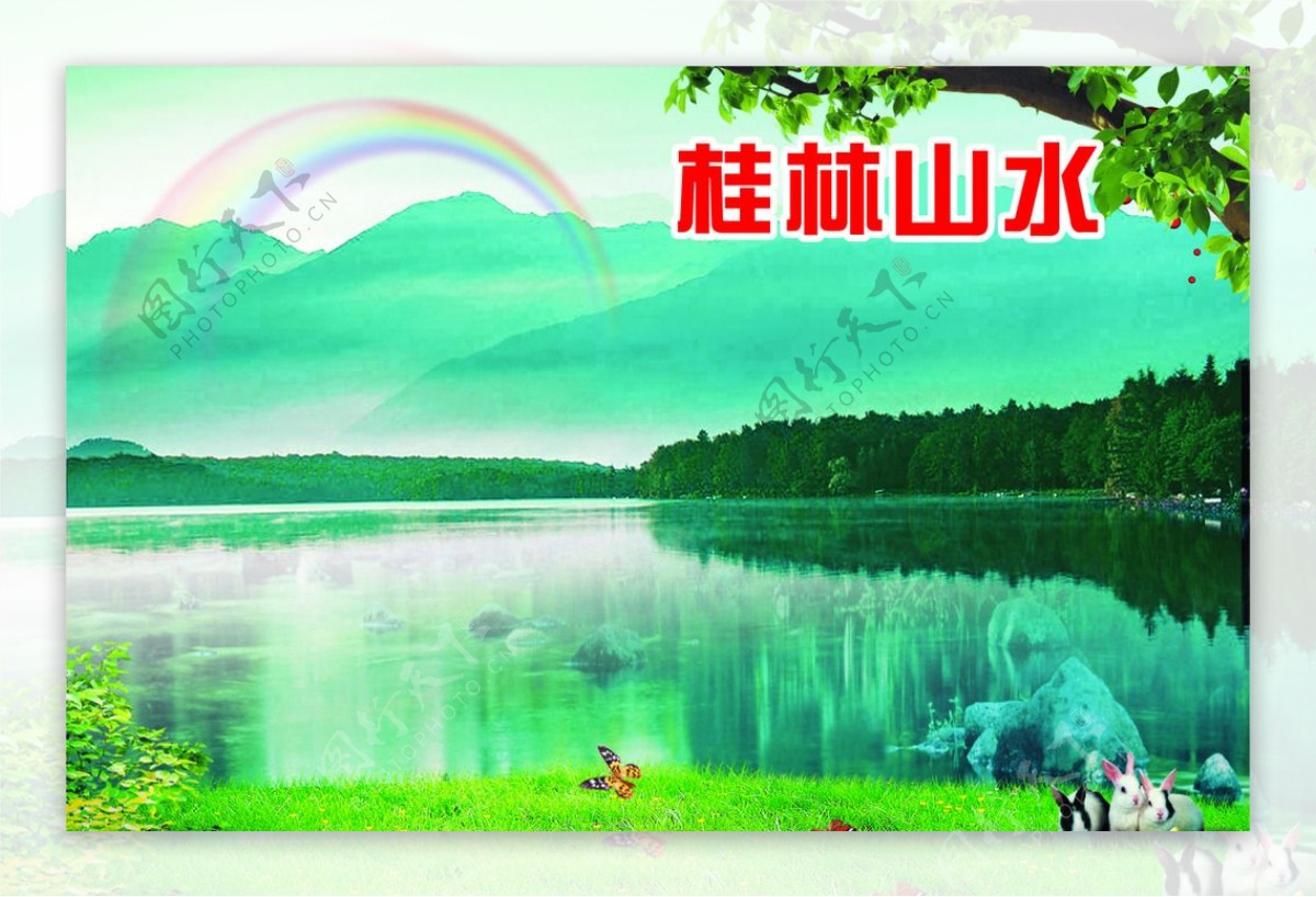 桂林山水里的小免子图片