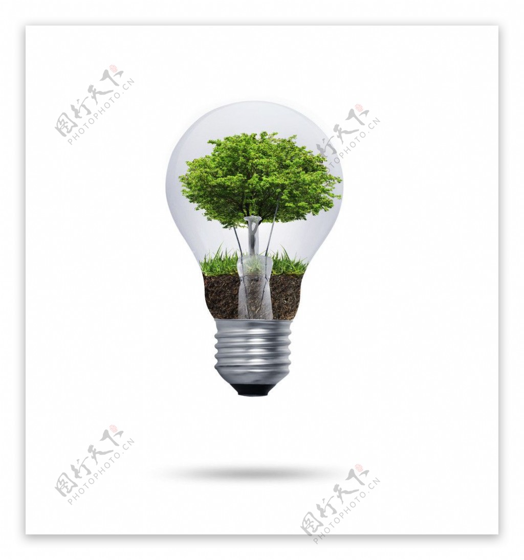 灯泡绿树图片