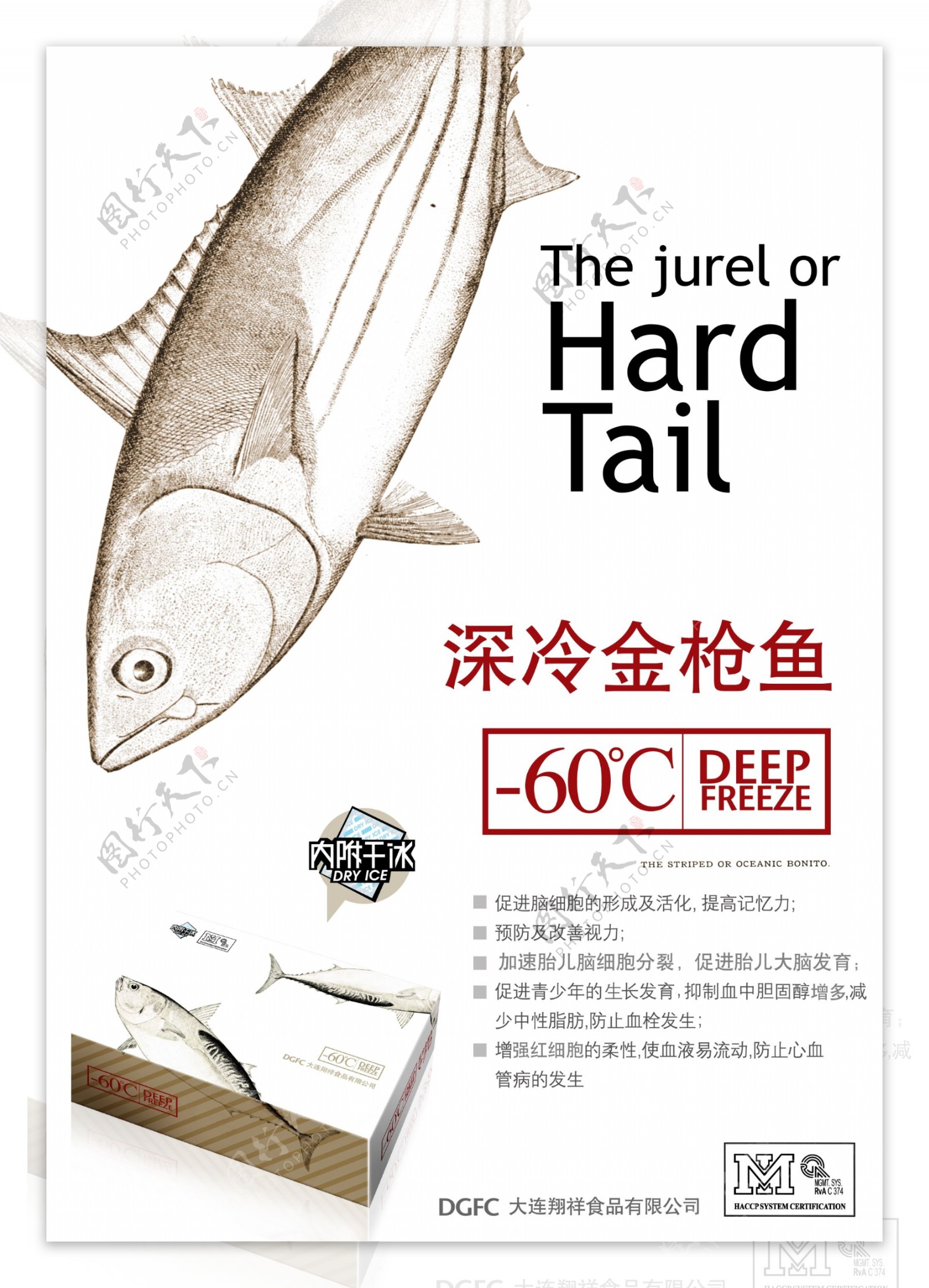 速冻鱼肉海报图片