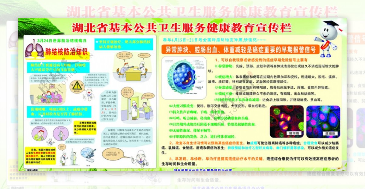 湖北省基本公共卫生服务健康教育图片