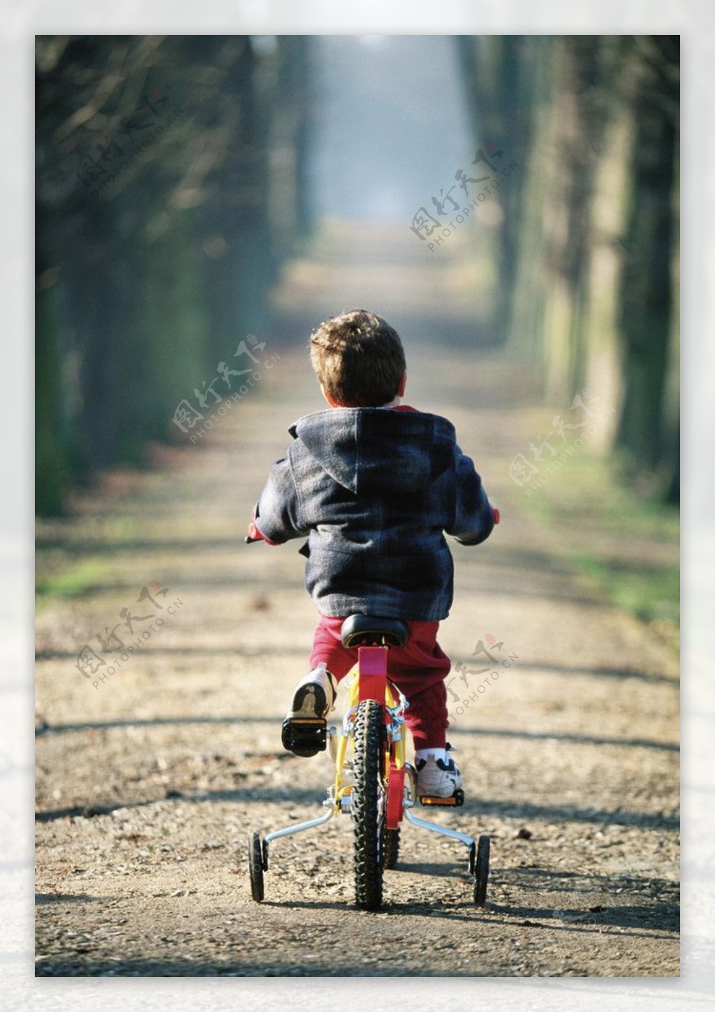 孩子骑三轮图片