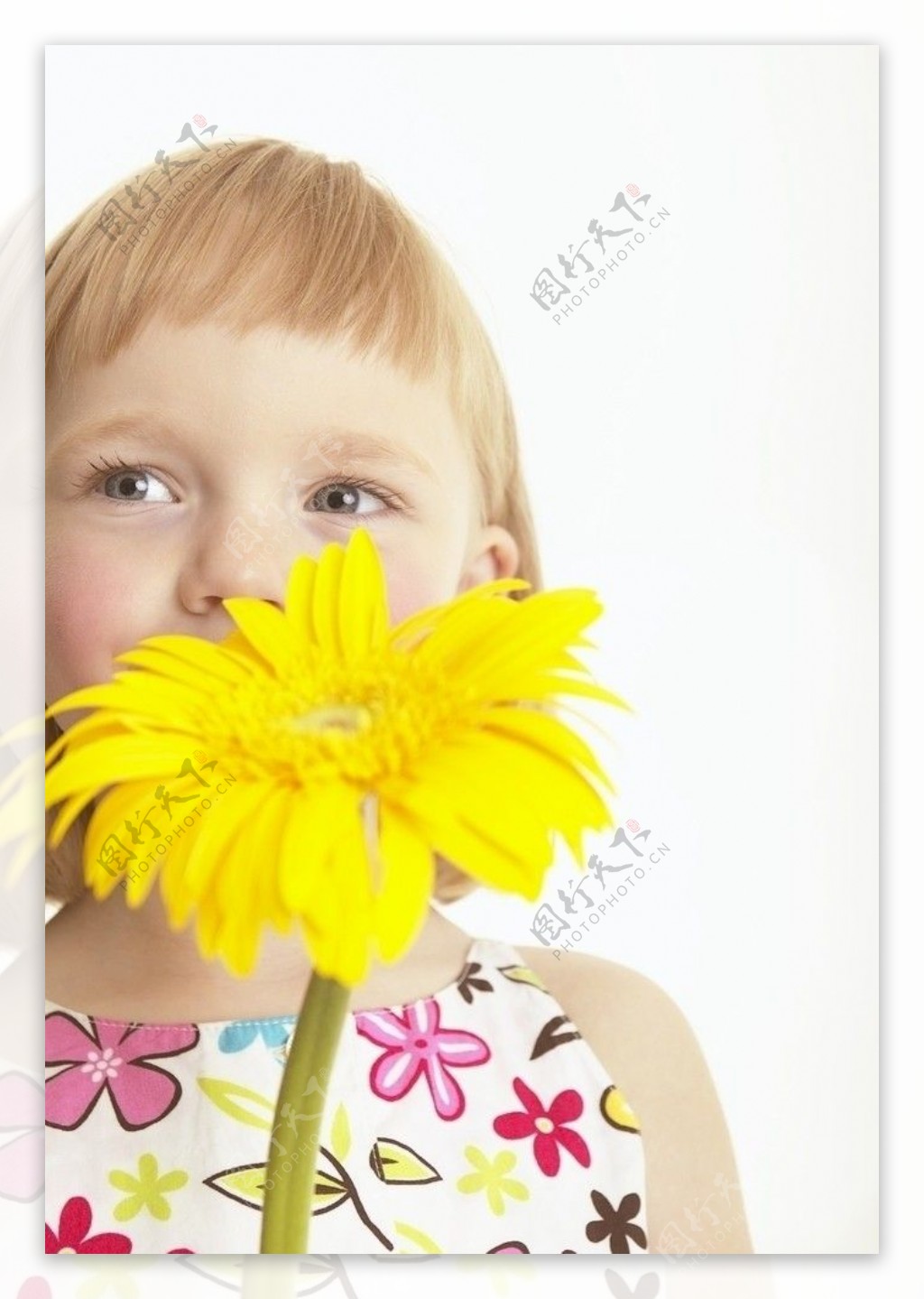 拿着黄色菊花的漂亮小女孩图片