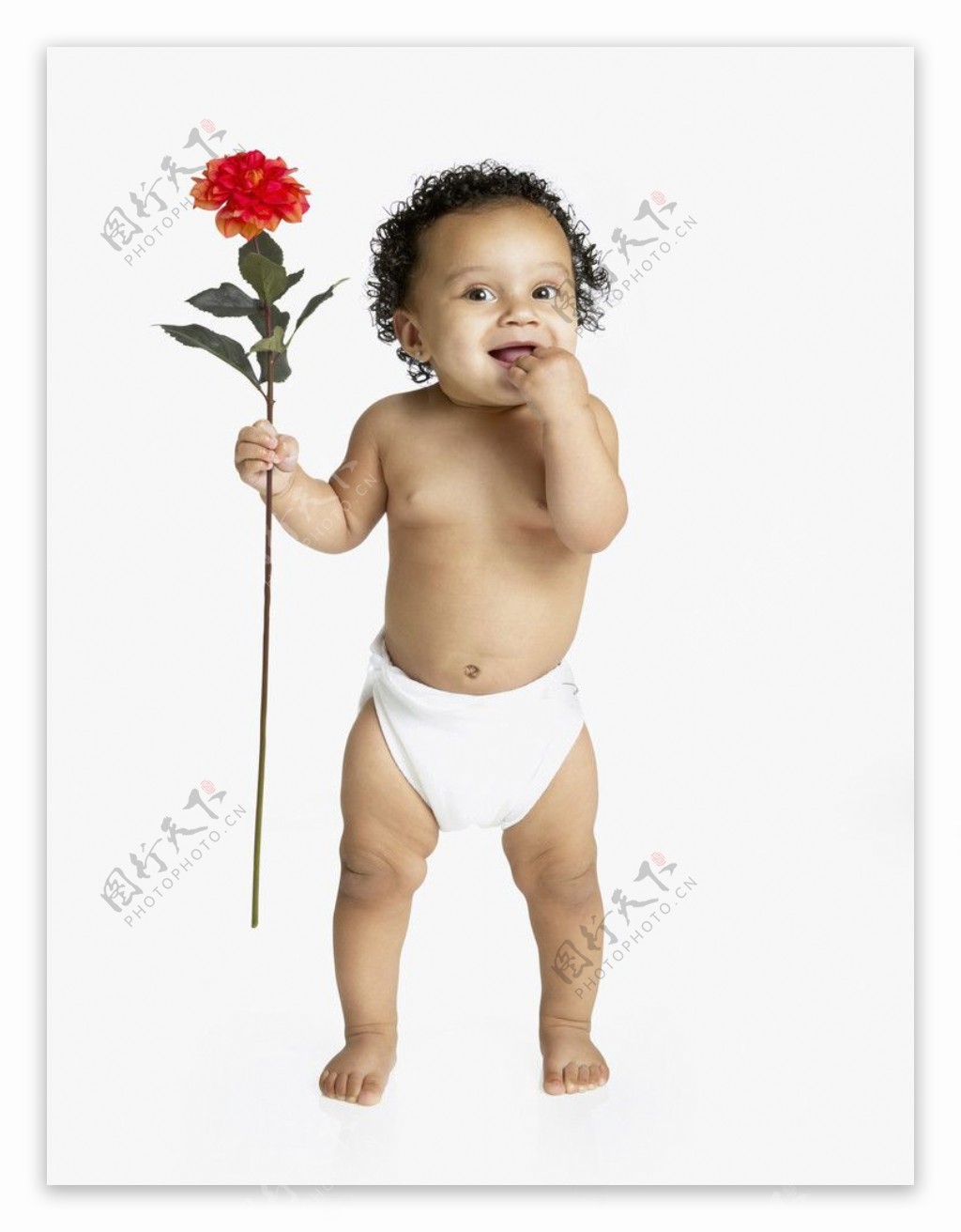 拿着一朵鲜花的宝宝婴儿图片