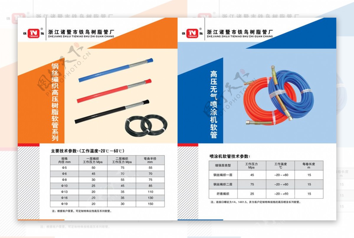 铁鸟树脂单页图片