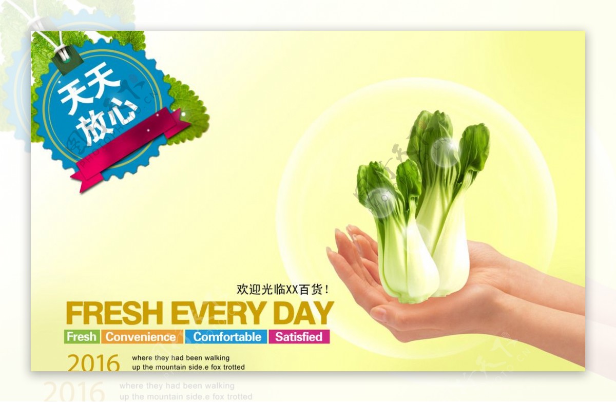 小青菜蔬菜海报图片