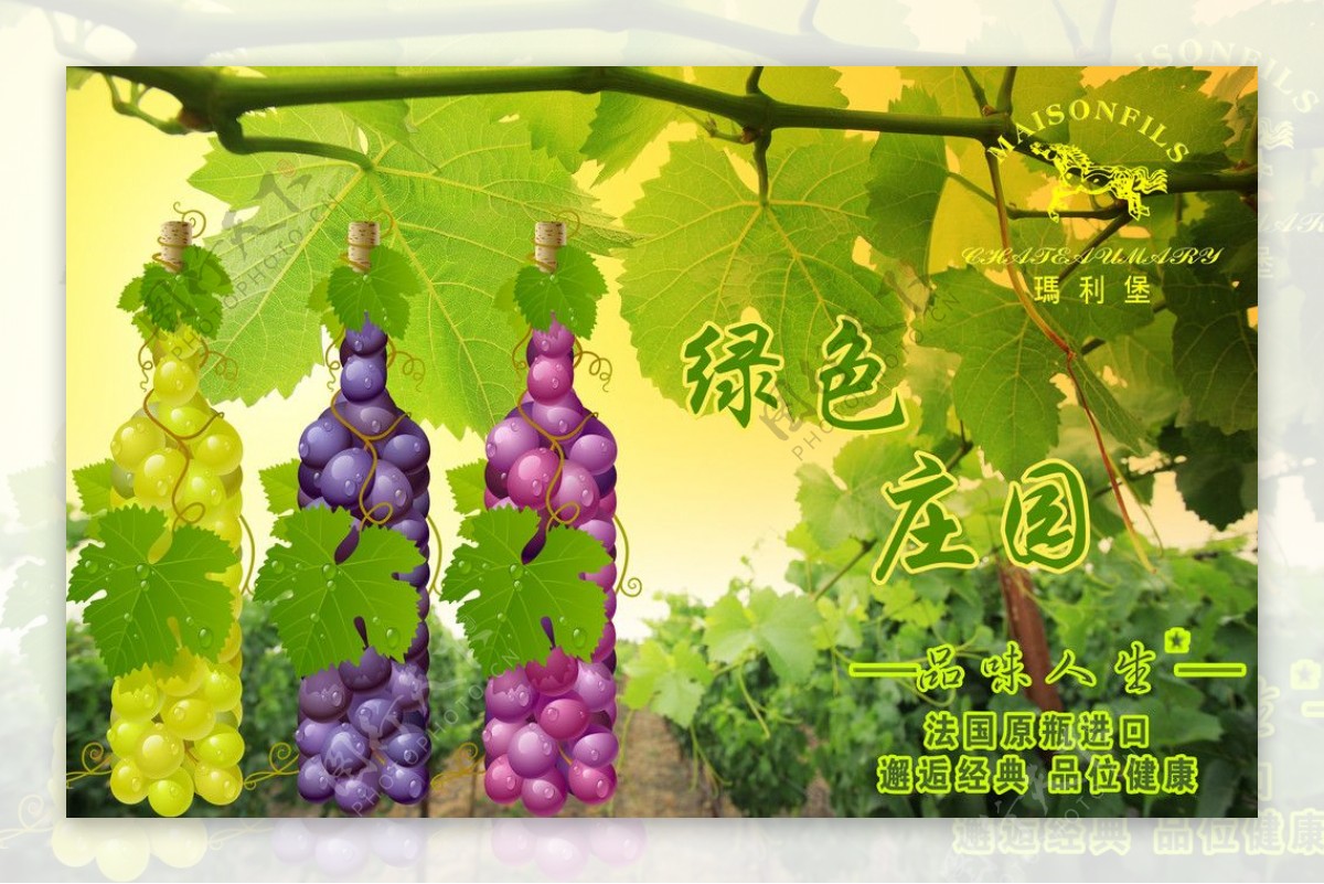 葡萄酒绿色庄园图片