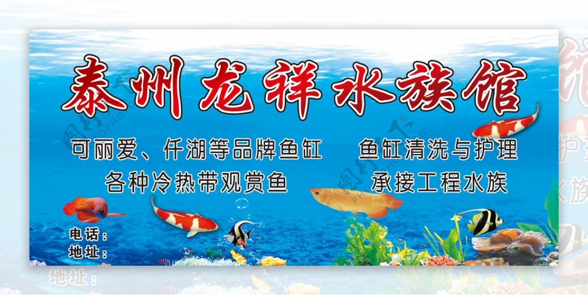 水族馆图片