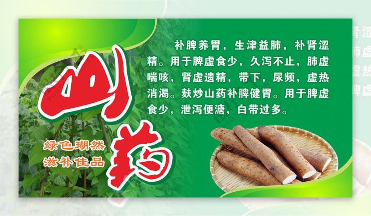 山药宣传广告图片