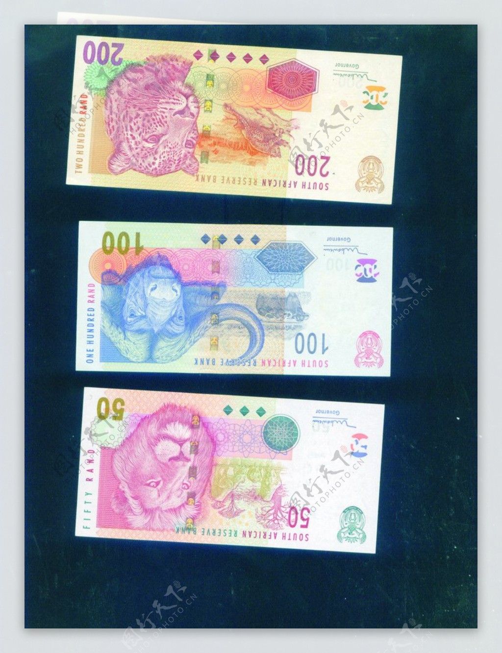 南非币PSD分层素材南非币纸币钱币图片