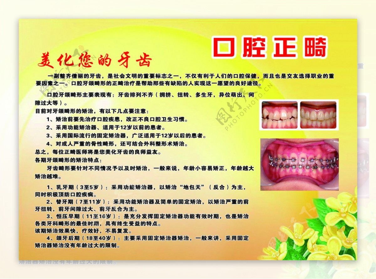 口腔牙齿卫生展板图片