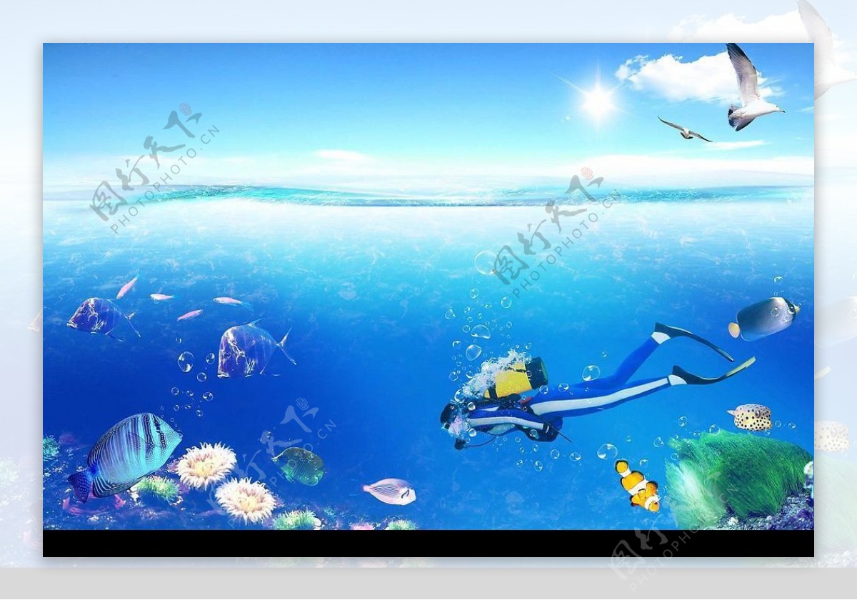 五彩斑斓的海底世界图片