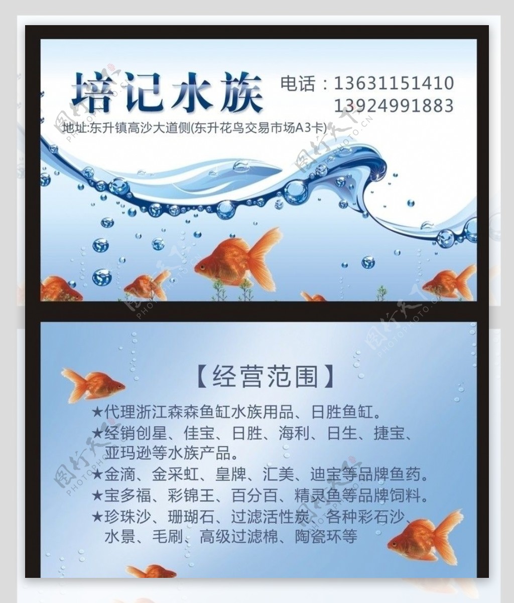 水族名片图片