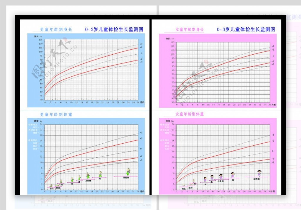 男女年龄别体重身高图片