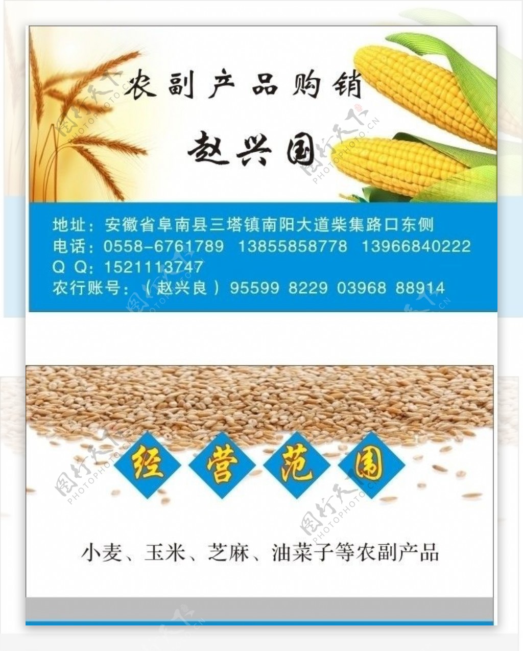 农副产品名片小麦名片玉米名片图片
