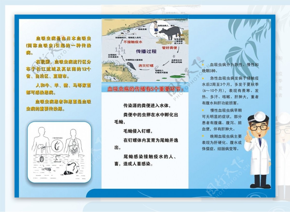 预防血吸虫折页图片