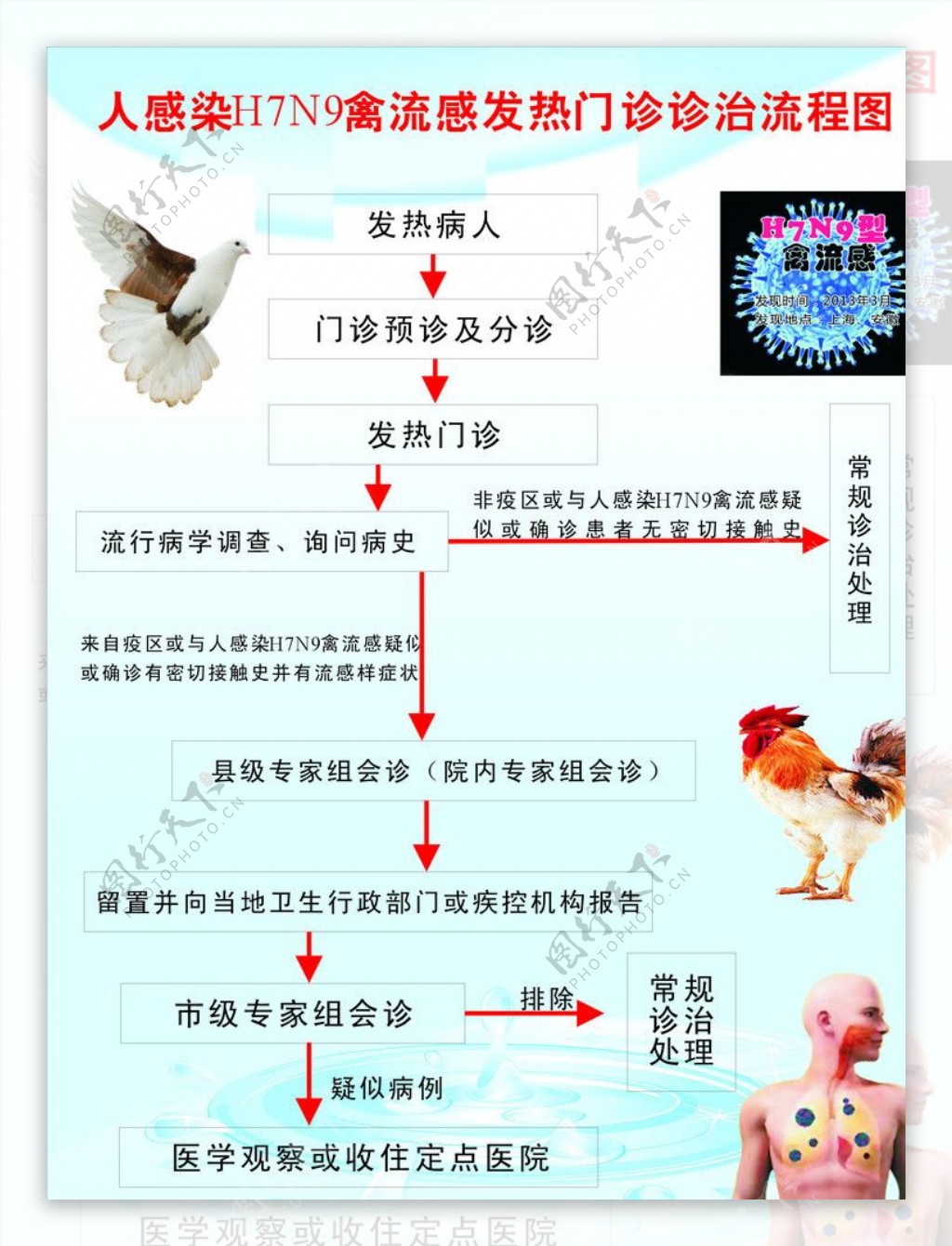 人感染H7N9禽流感图片