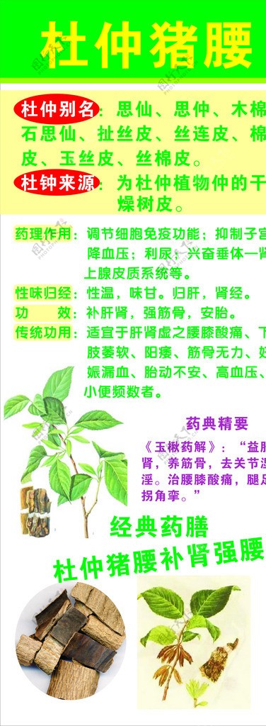 药材易拉宝图片