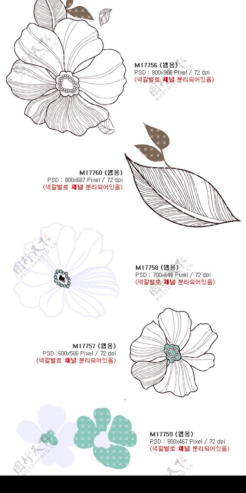 韩国时尚华丽花纹系列图片