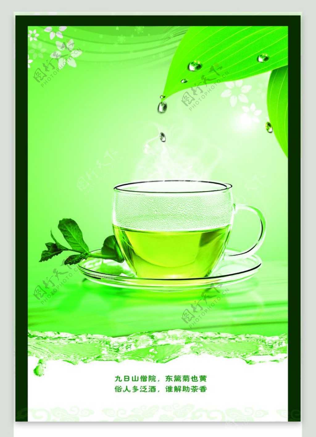 绿色清新茶文化图片