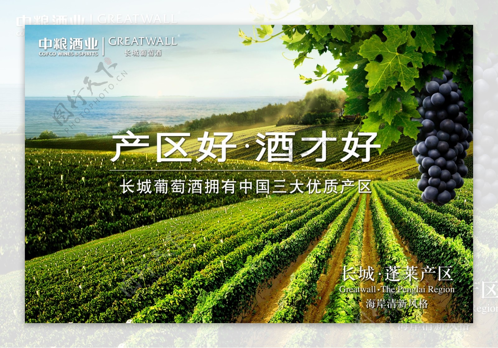长城葡萄酒蓬莱产区海报图片