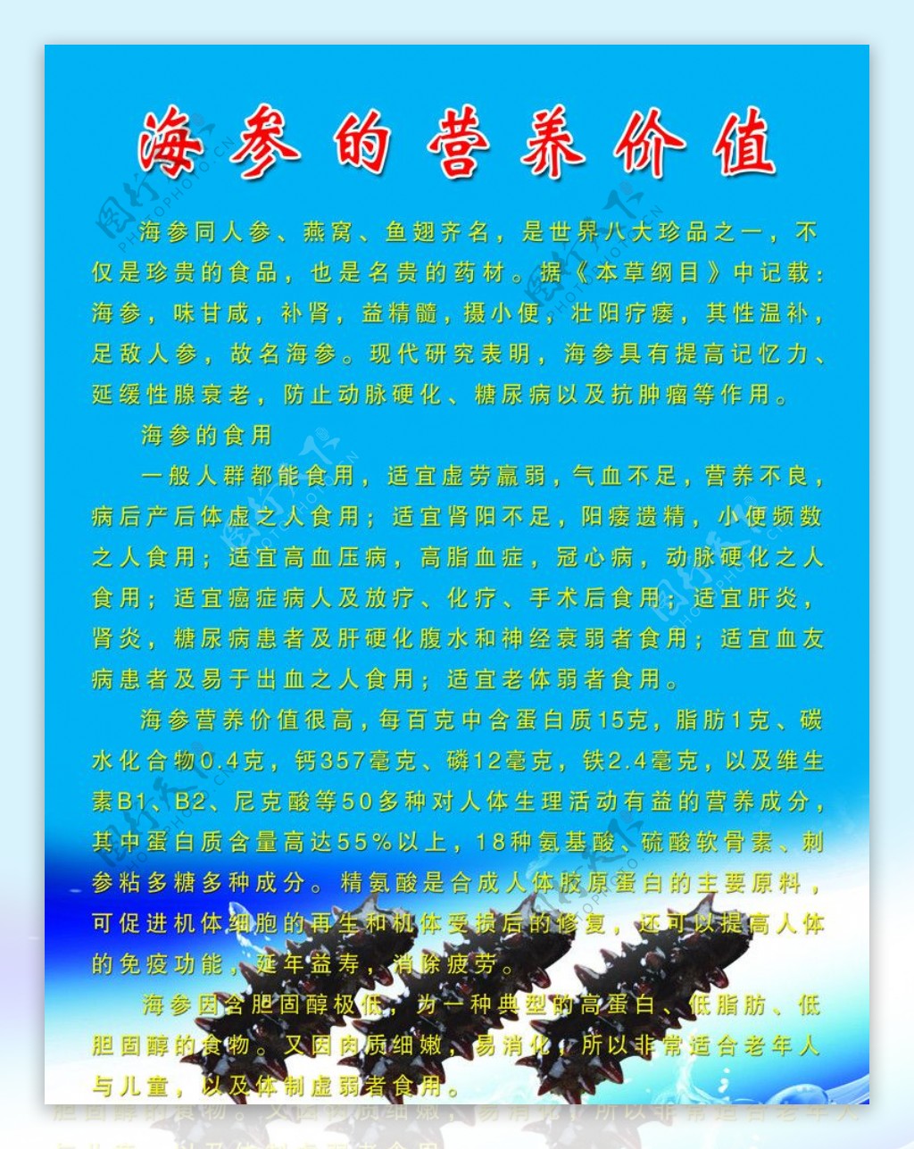 海参图片