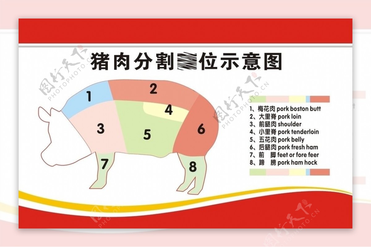 猪肉分割图示图片