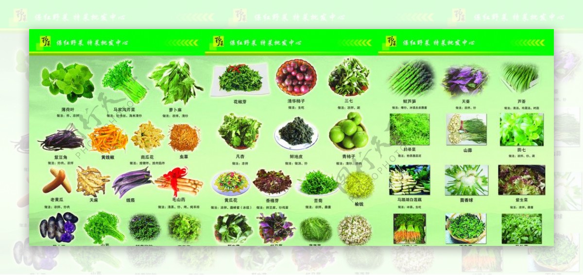野菜折页图片