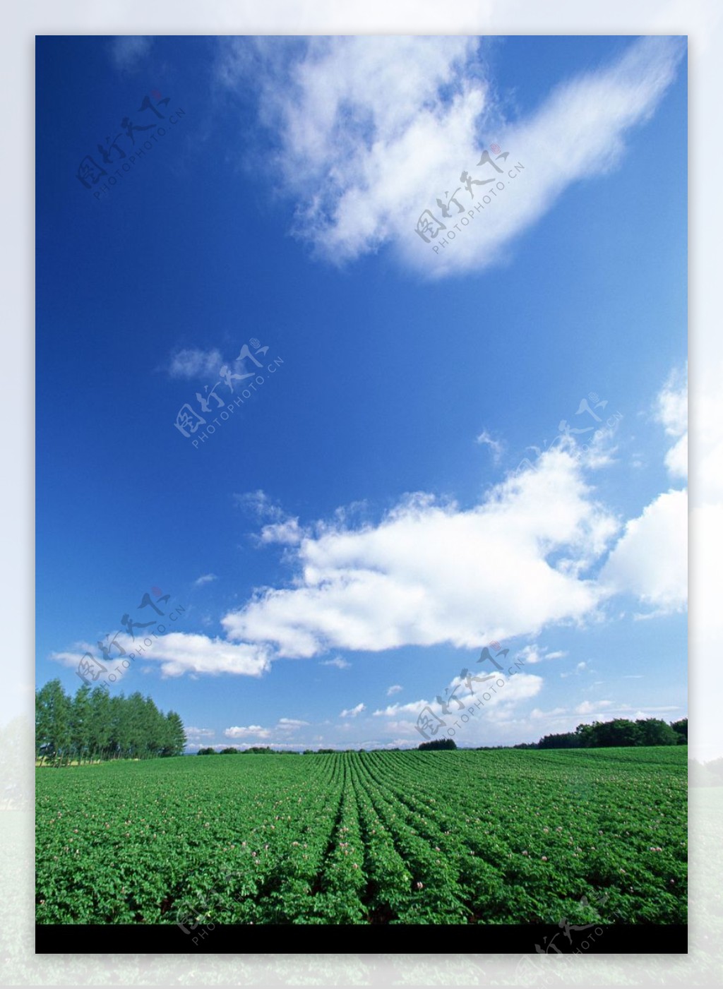 壁纸1024×768天空大地 蓝天白云 蓝天白云绿草地图片 Desktop Wallpaper of Sky Landscape壁纸,天空大地 ...