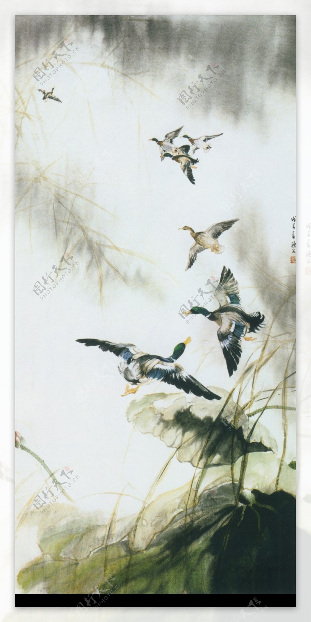 中国现代花鸟0190