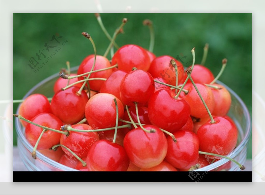 水果天地0119图片素材-编号20232815-图行天下