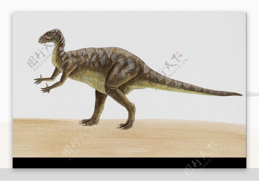 白垩纪恐龙0038