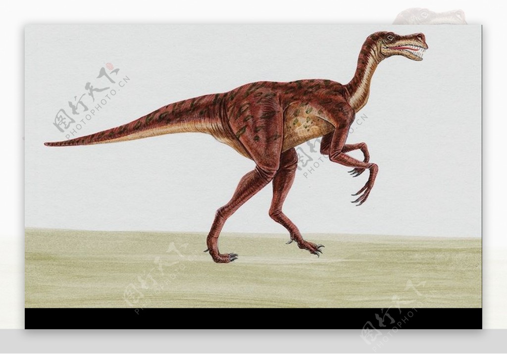 白垩纪恐龙0045
