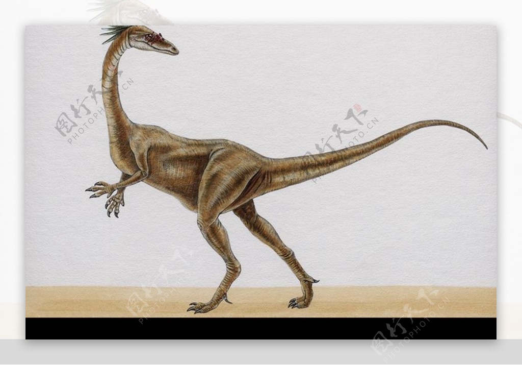 白垩纪恐龙0079