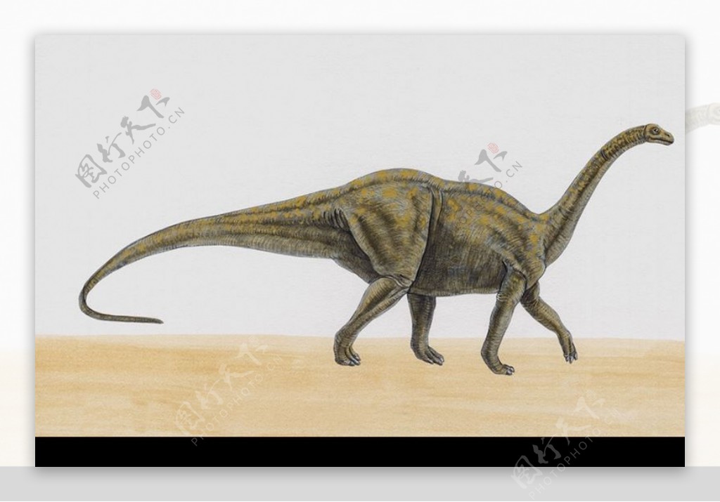 白垩纪恐龙0096