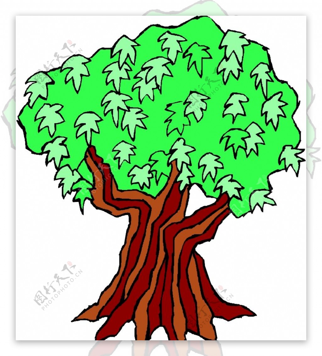 树木1600