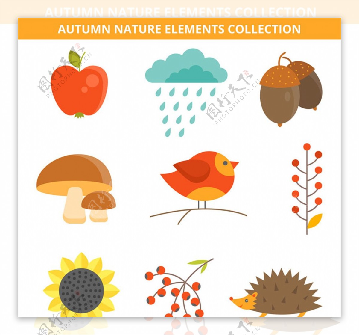 9款可爱秋季自然元素矢量素材