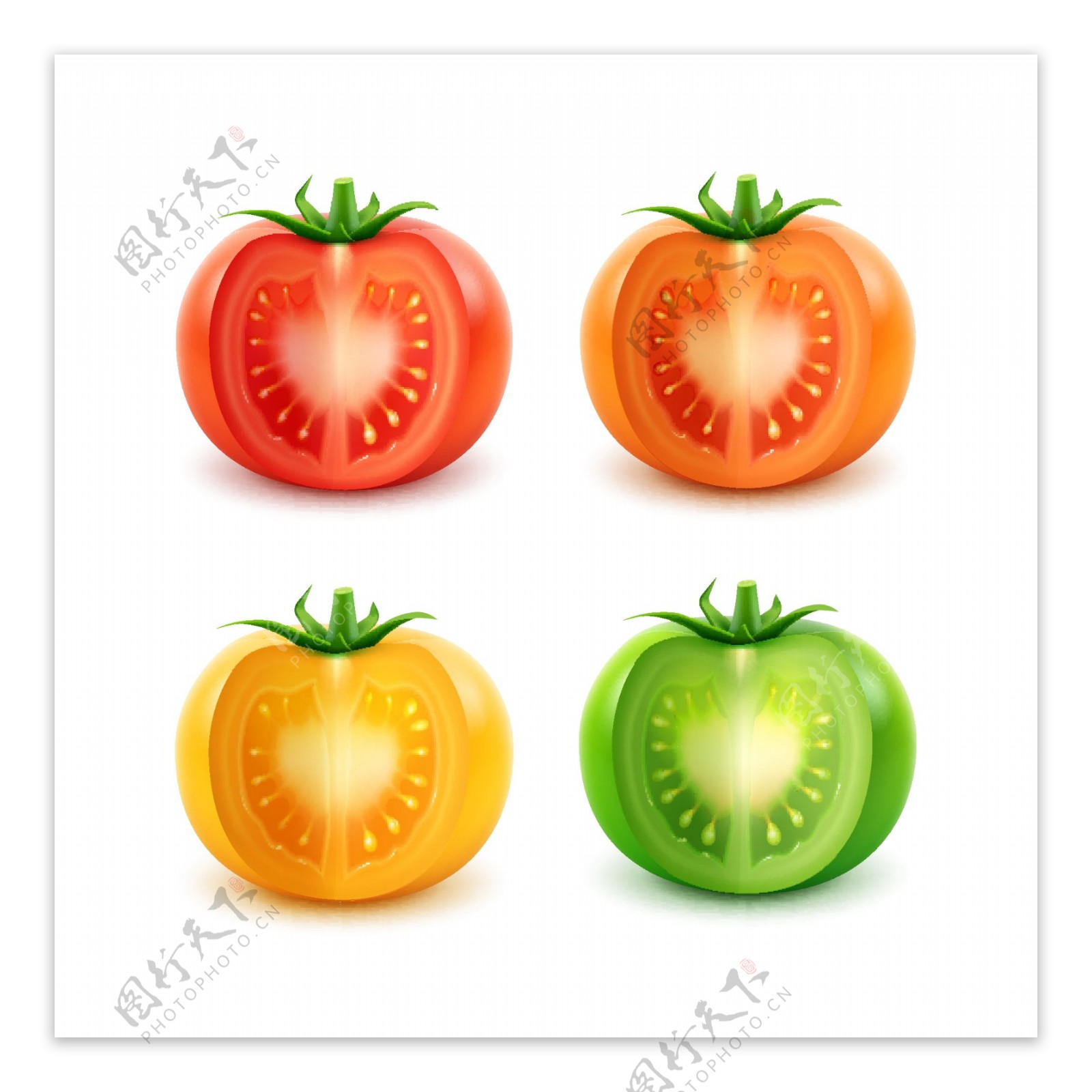 四款不同颜色的西红柿矢量素材