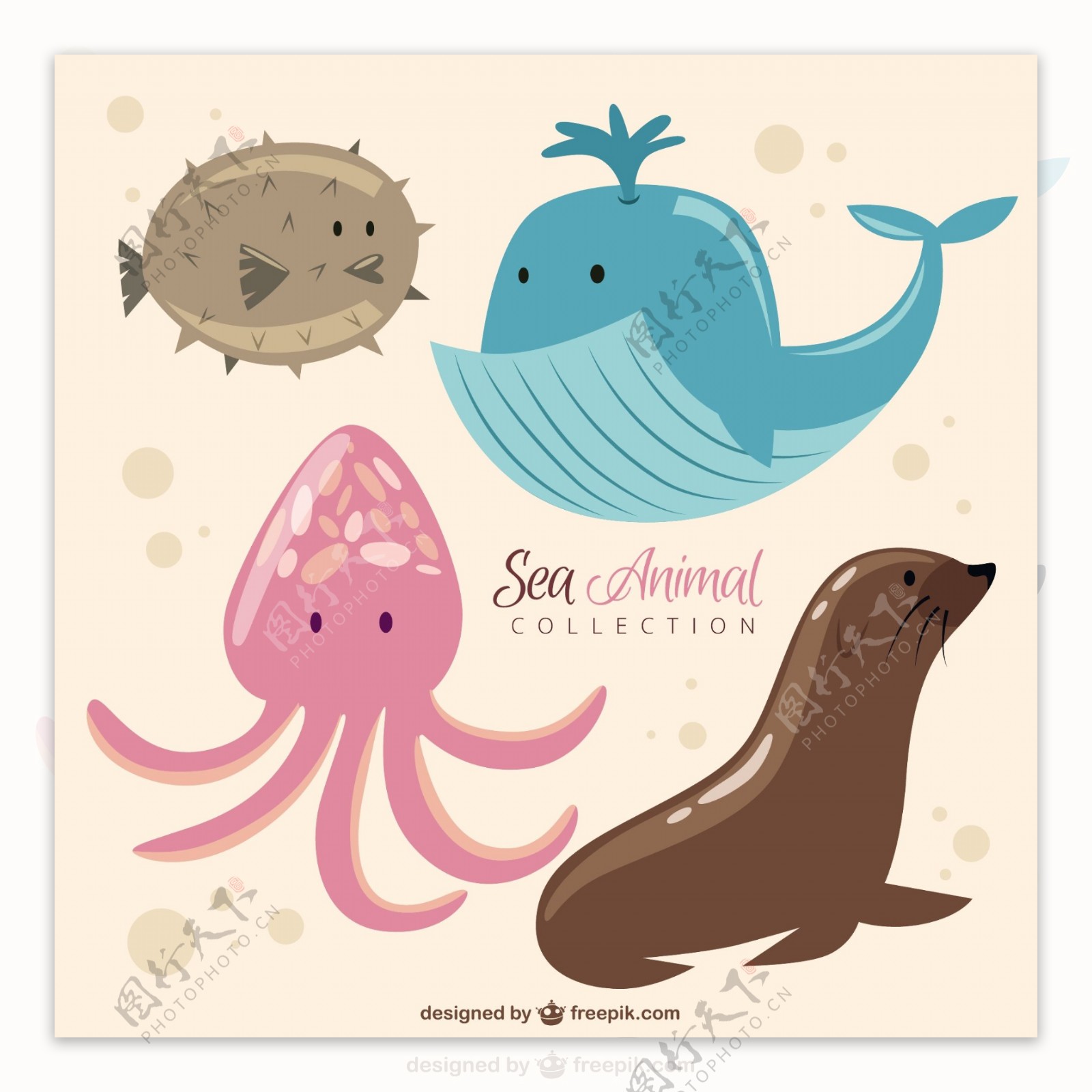 滑稽的海洋动物集合
