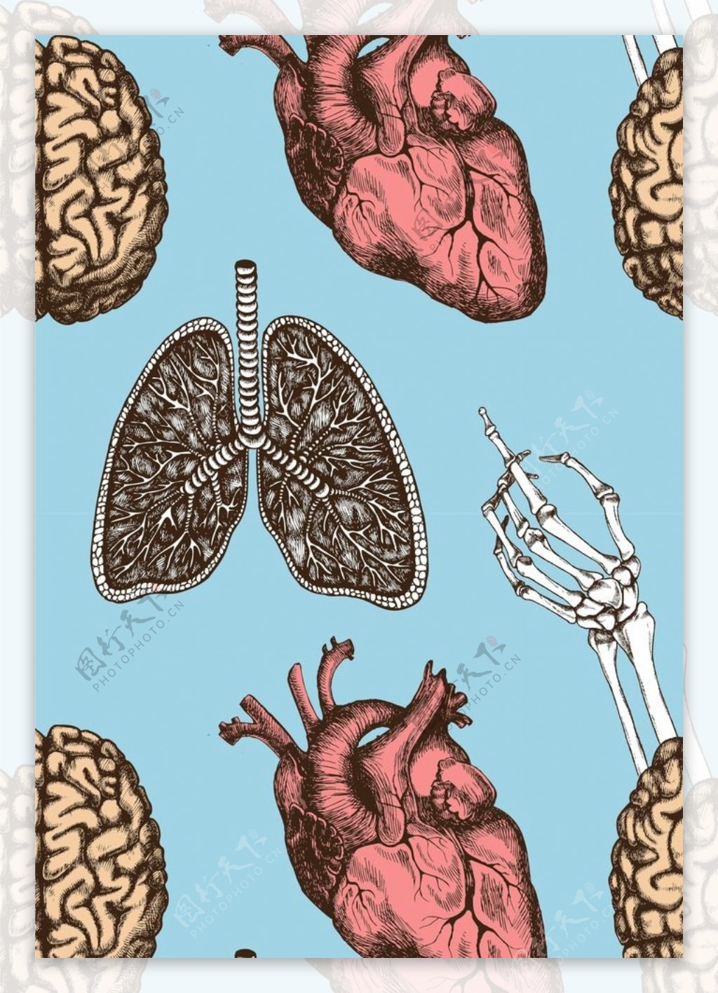 心脏器官背景纹理图