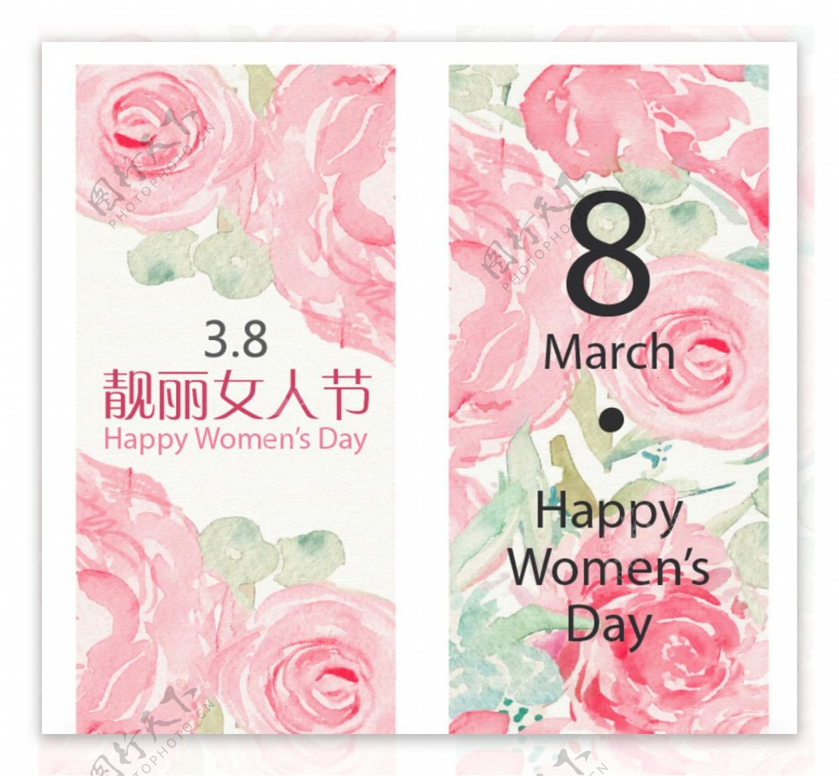 妇女节女人节38玫瑰