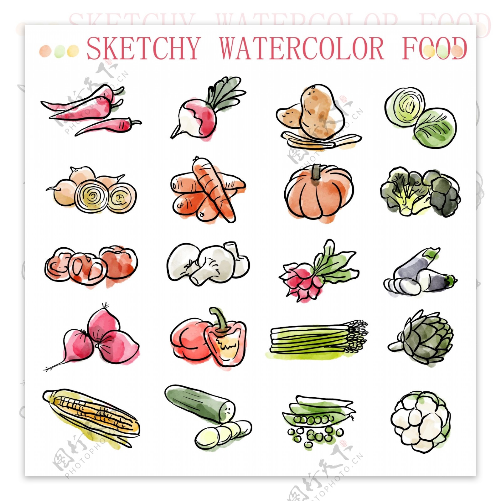 20款水彩绘蔬菜矢量素材