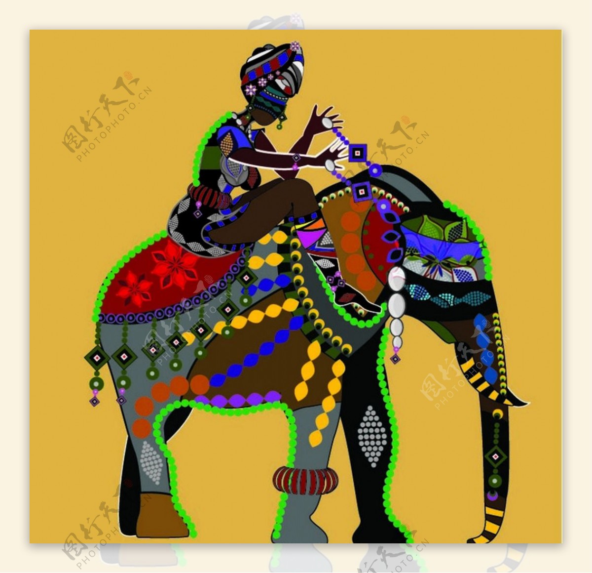 印度骑象女人