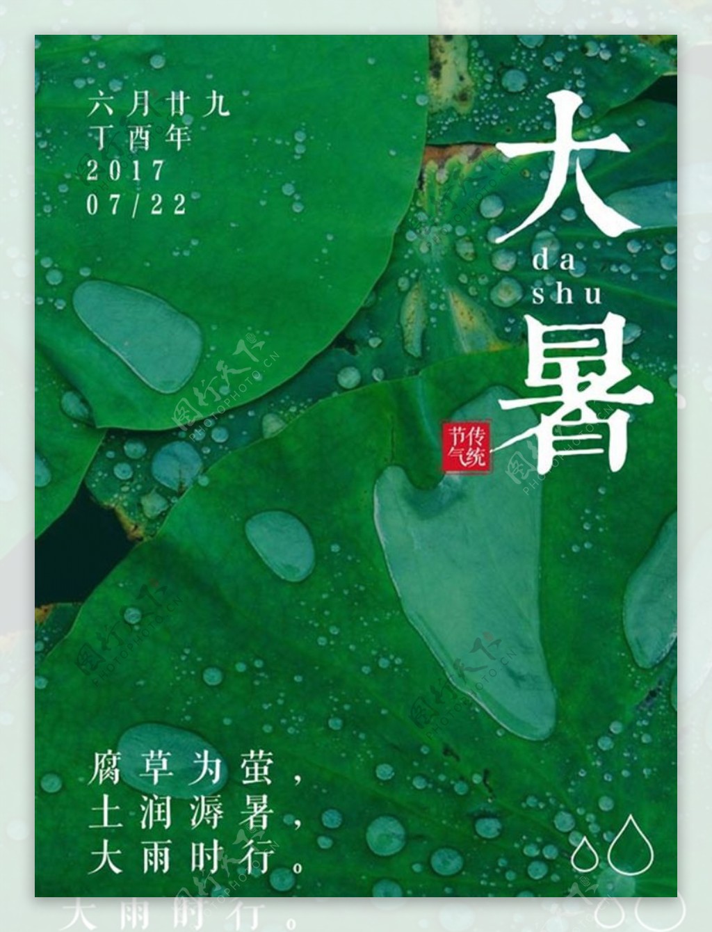 绿色简约中国传统大暑节气海报