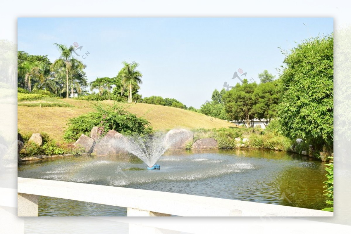 漳州茶学院喷泉