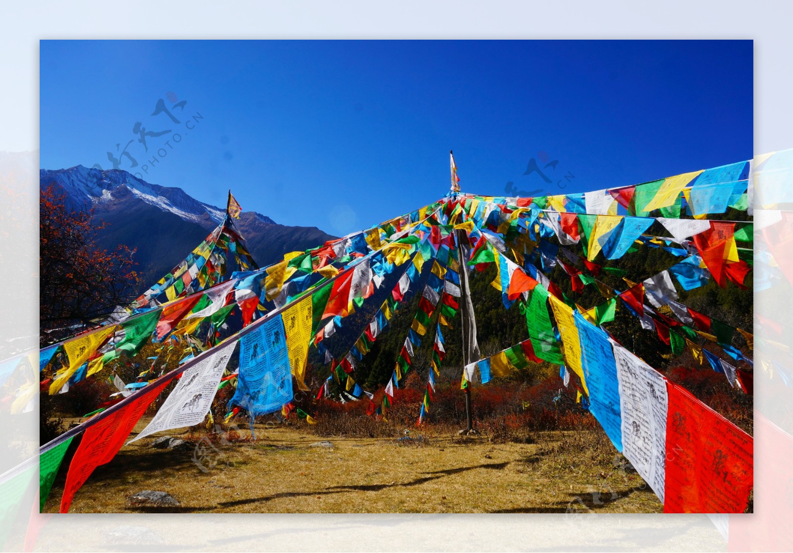 西藏经幡阵摄影
