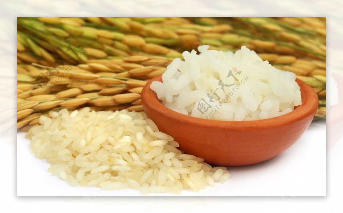米饭米