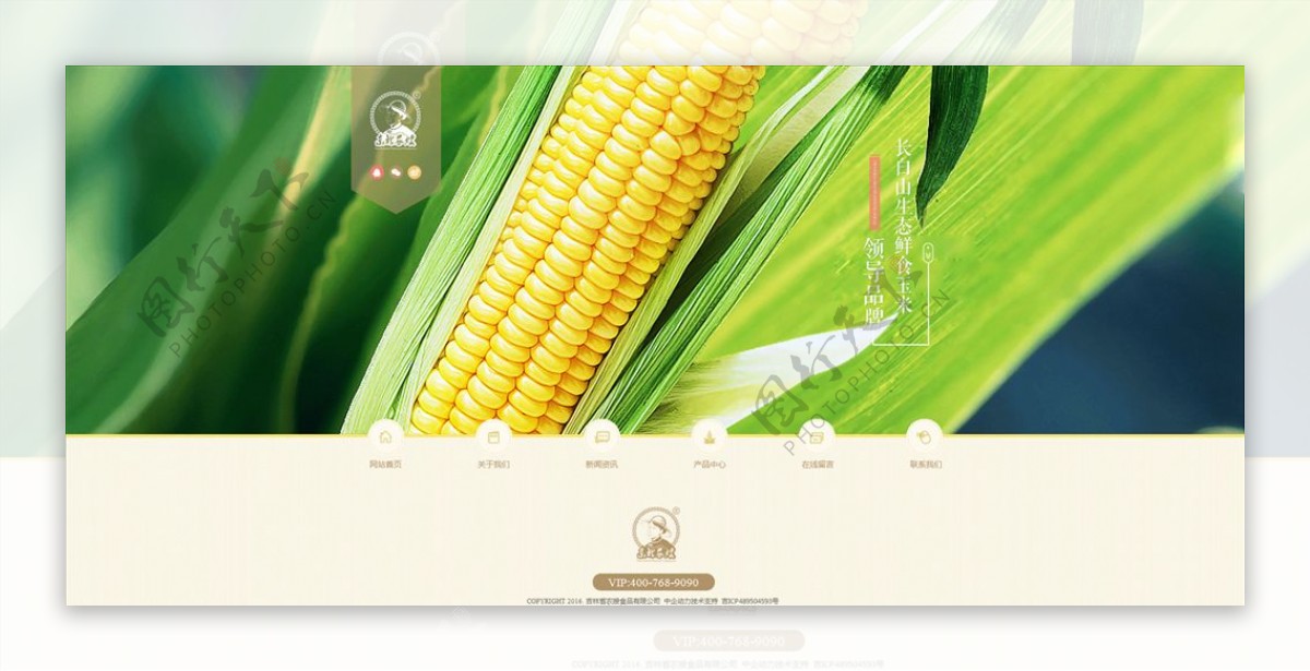 农业玉米精品网页模版PSD