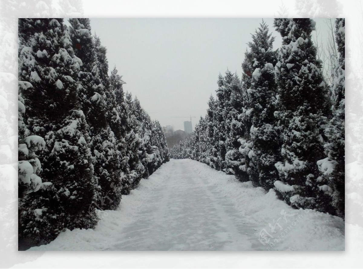 雪景