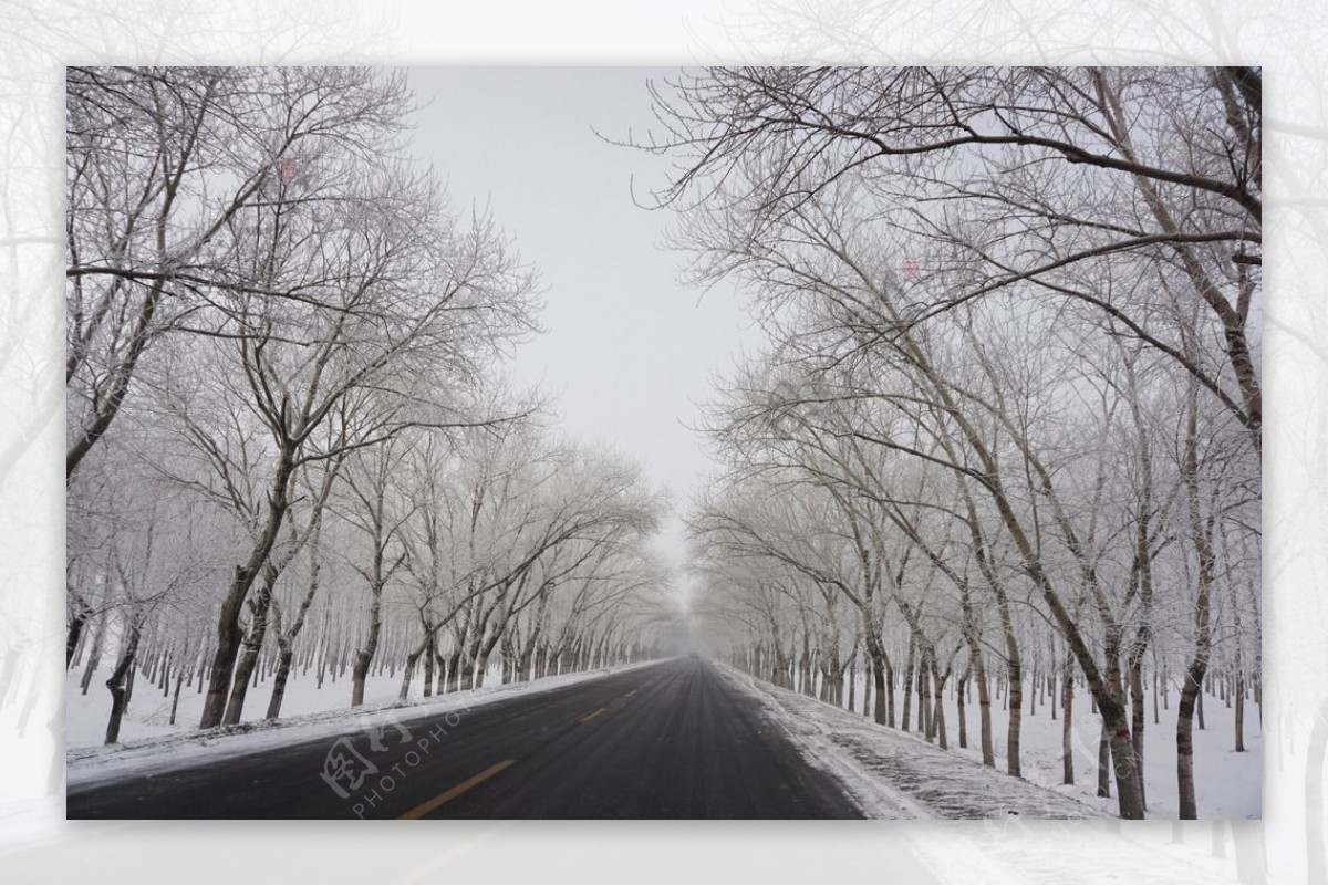 冬天树挂公路